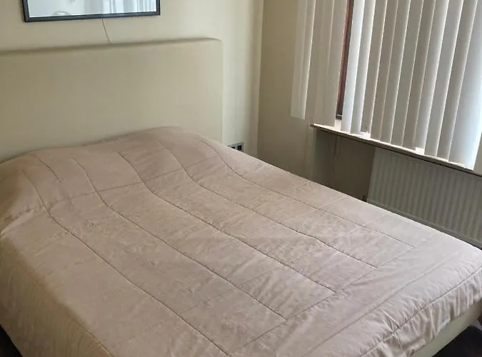 公寓 Bel Air Holiday - Modern Corner Apartment With Breathtaking Sea View T85 奥斯滕德